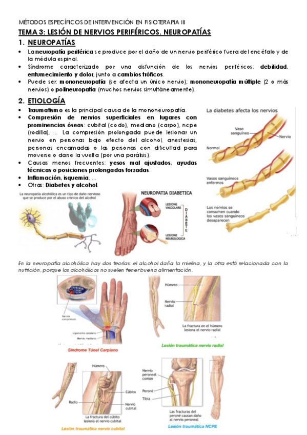 Miniatura del documento TEMA-3.pdf