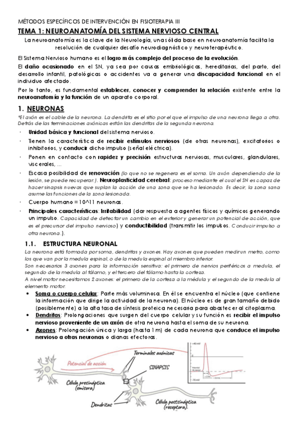 Miniatura del documento TEMA-1.pdf
