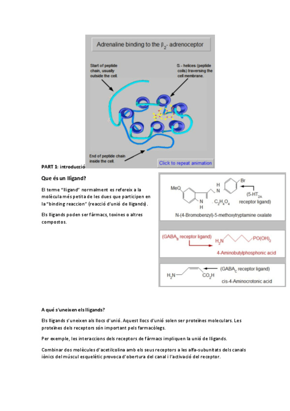 Miniatura del documento Ligand-binding-traduit.pdf