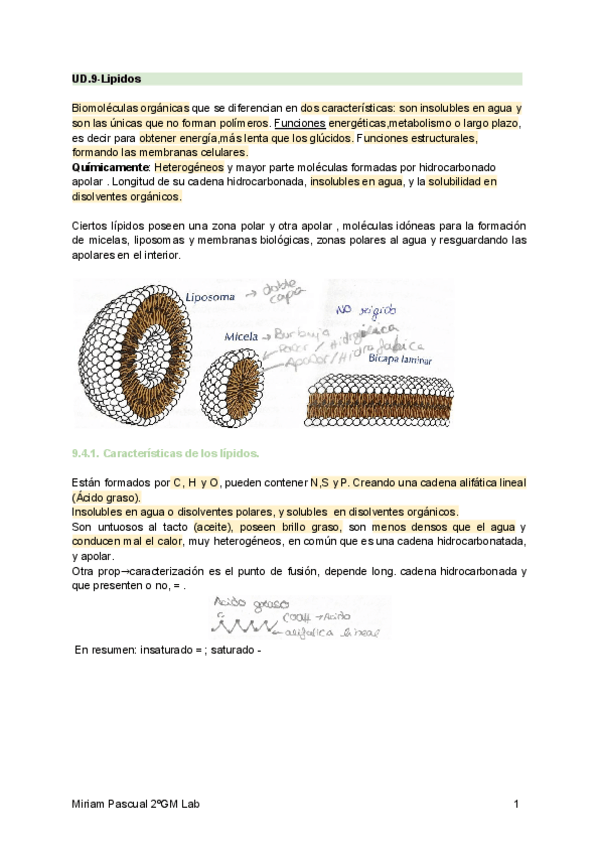 Miniatura del documento Lipidos-y-Aminoacidos-.pdf