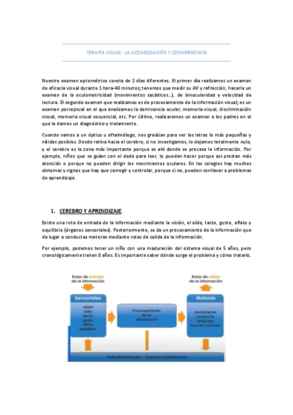 Miniatura del documento T14 TV ACOMODACION Y CONVERGENCIA
