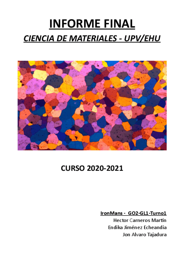 Miniatura del documento INFORME-FINAL.pdf