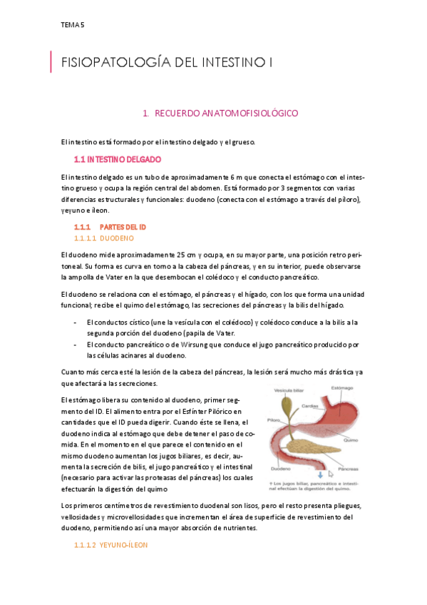 Miniatura del documento TEMA-5.pdf