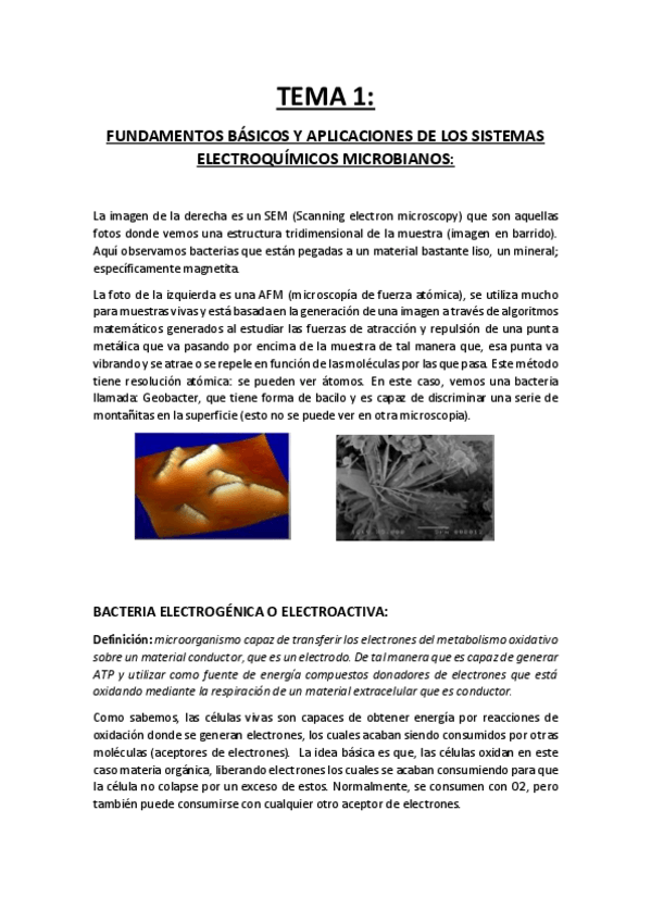 Miniatura del documento TEMA-1.pdf