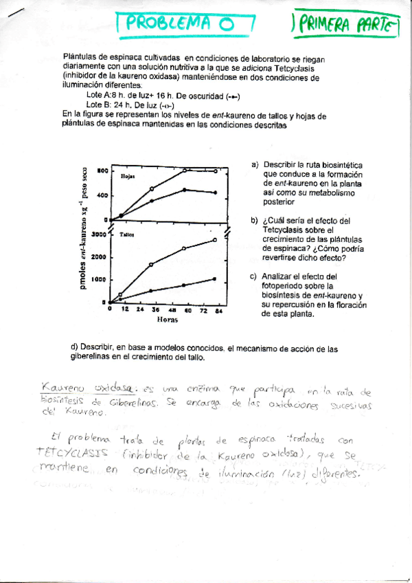 Miniatura del documento PROBLEMAS-BLOQUE-1.pdf