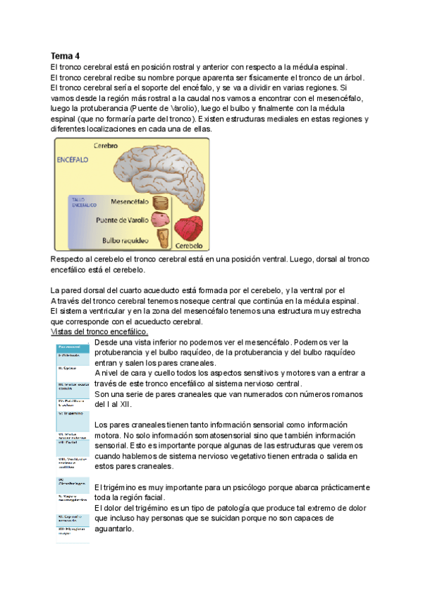 Miniatura del documento Tema-4.pdf