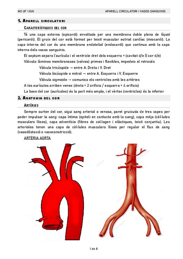 Miniatura del documento M2-UF2-EA1.pdf