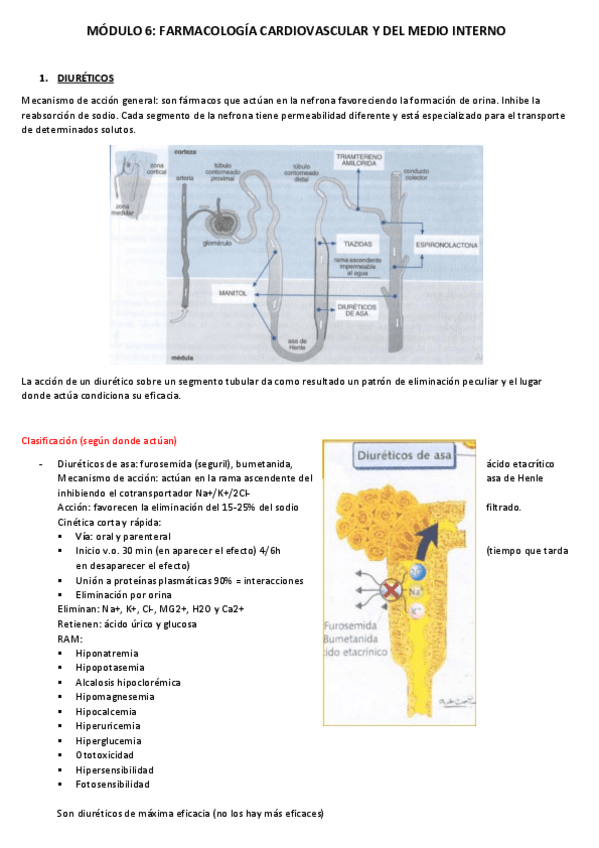 Miniatura del documento MODULO-6.pdf