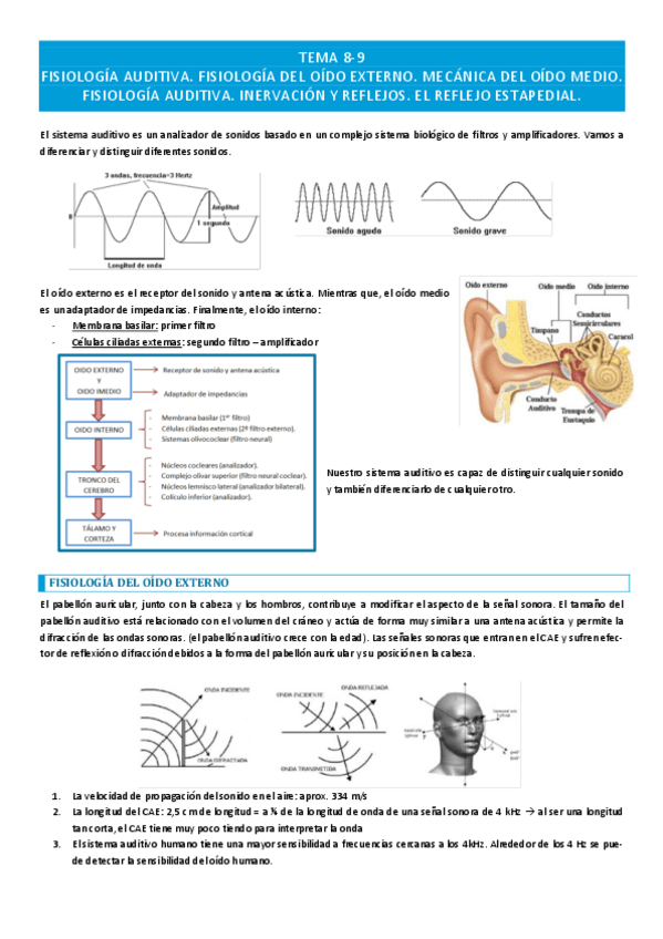 Miniatura del documento Tema-8-9-audicion.pdf