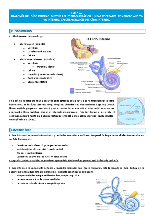 Miniatura del documento Tema-10-audicion.pdf