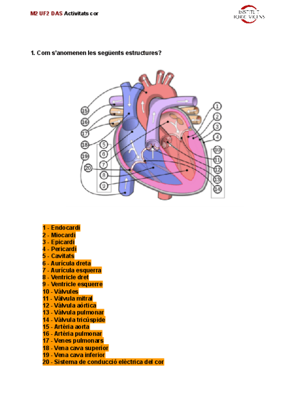 Miniatura del documento M2-UF2-TEMA-2-ACTIVIDAD-CORAZON.pdf