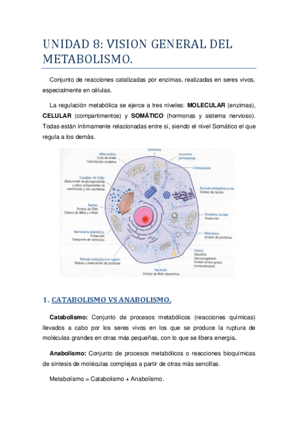 Miniatura del documento UNIDAD 8.pdf