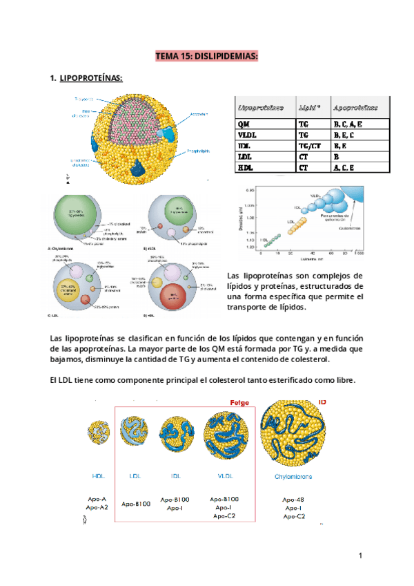 Miniatura del documento Tema-15.pdf