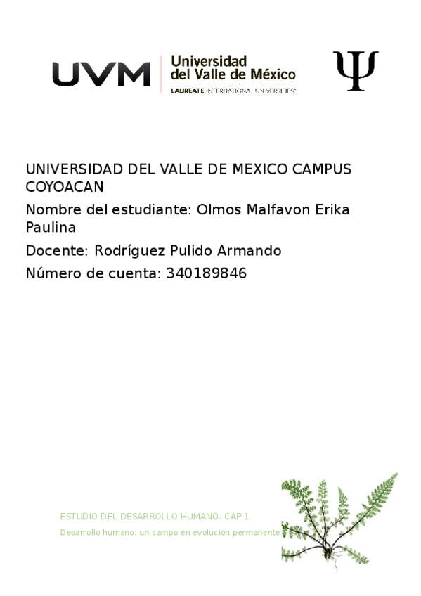 Miniatura del documento APRAXIAS-Y-AGNOSIAS-Olmos.docx