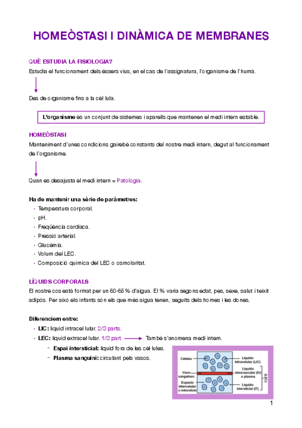 Miniatura del documento HOMEOSTASI.pdf