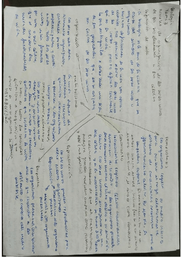 Miniatura del documento Tema-3-Niveles-de-organizacin-de-los-Seres-Vivos.pdf