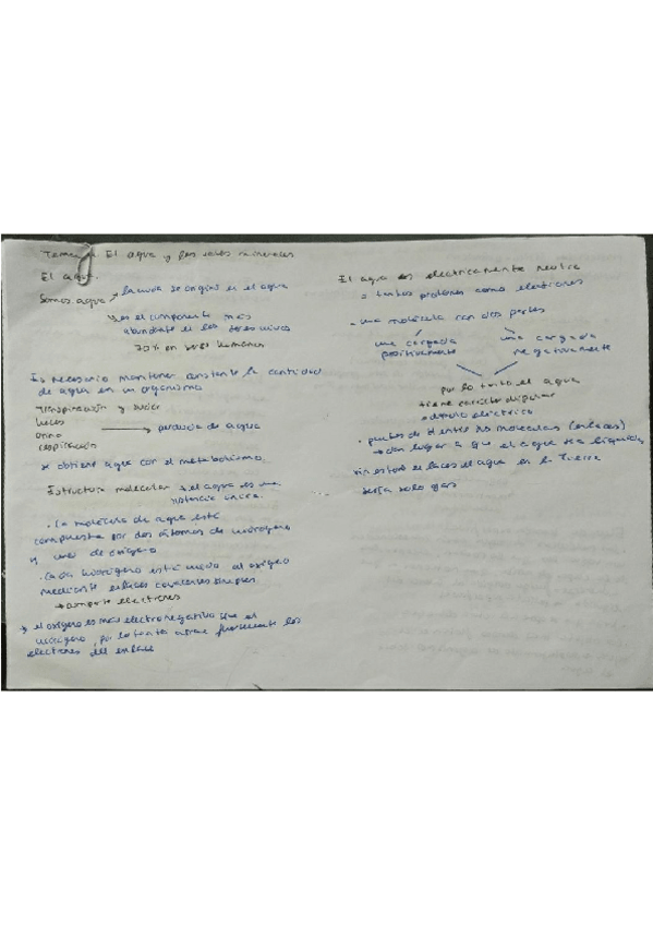 Miniatura del documento El-Agua-y-las-Sales-Minerales.pdf