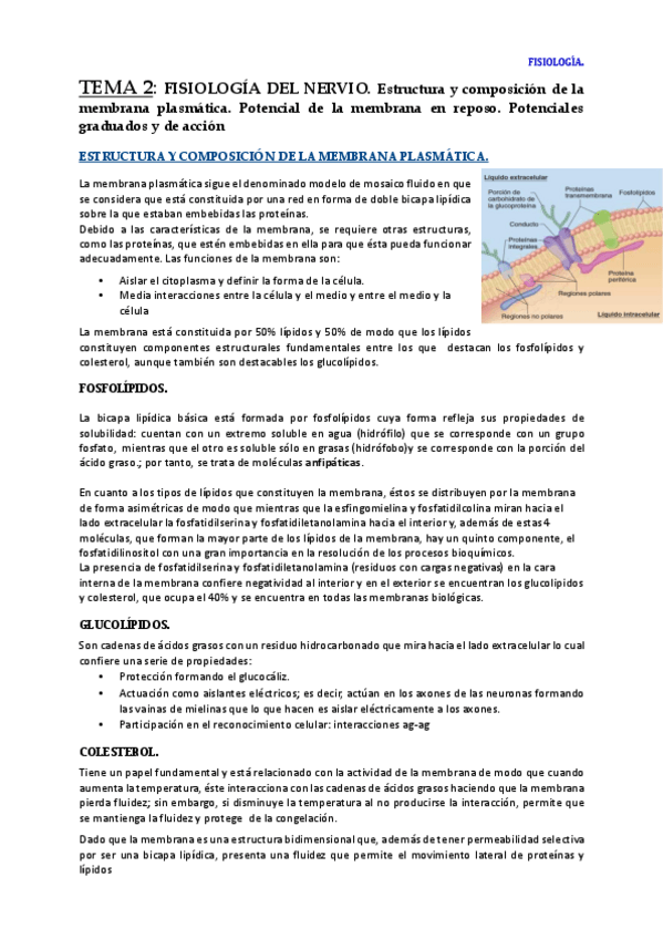 Miniatura del documento TEMA 2.pdf