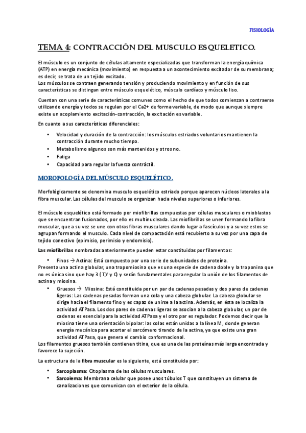 Miniatura del documento TEMA 4.pdf