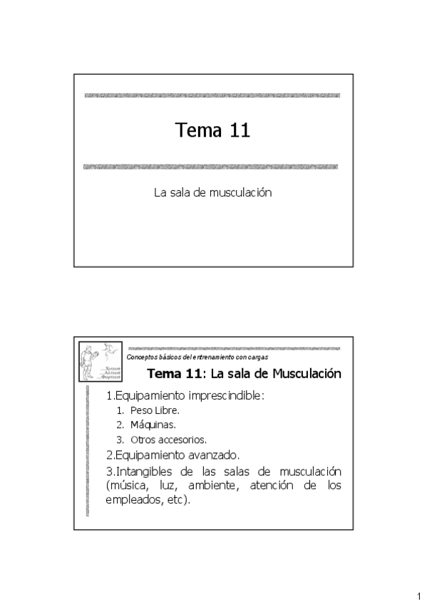 Miniatura del documento T11.pdf