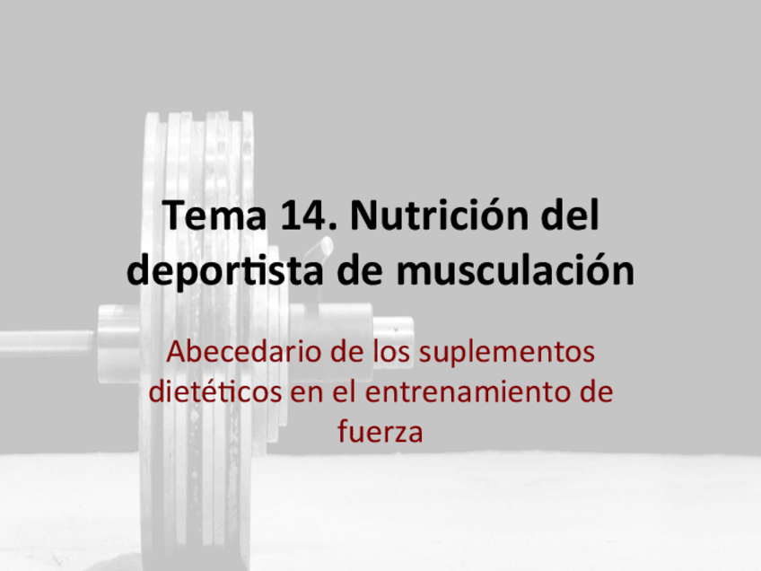 Miniatura del documento T14.pdf