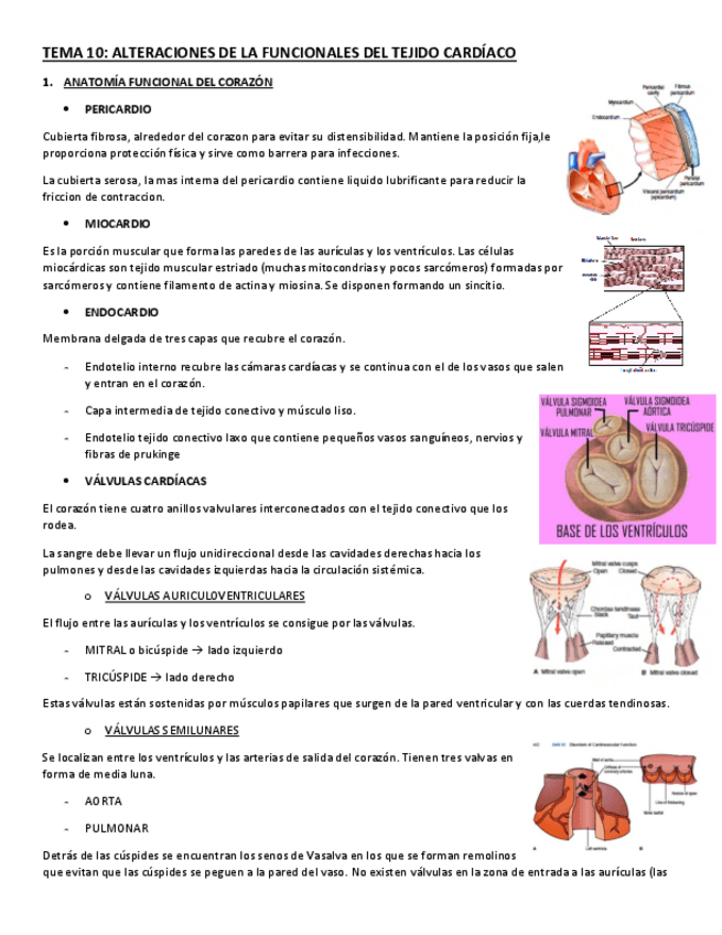 Miniatura del documento TEMA-10.pdf