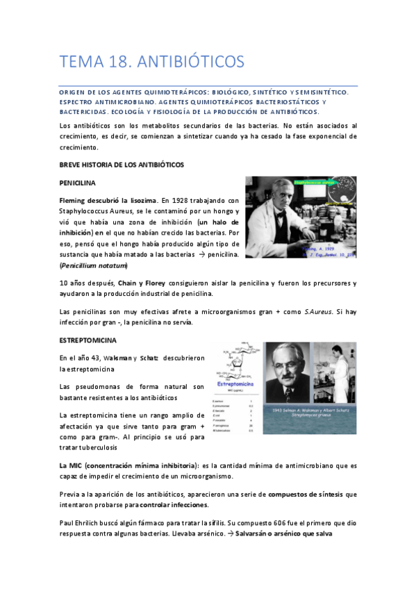 Miniatura del documento TEMA-18ANTIBIOTICOS.pdf