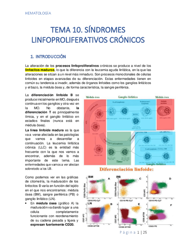 Miniatura del documento TEMA-10.pdf