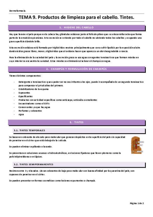 Miniatura del documento tema-9-productos-limpiez-cabello-y-tintes.pdf