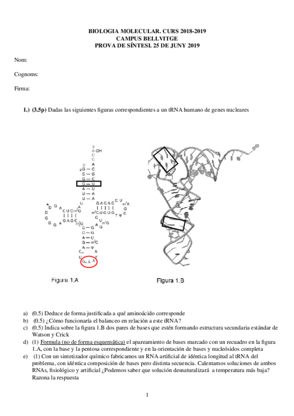 Miniatura del documento Repostes-examen-final-Pons.docx