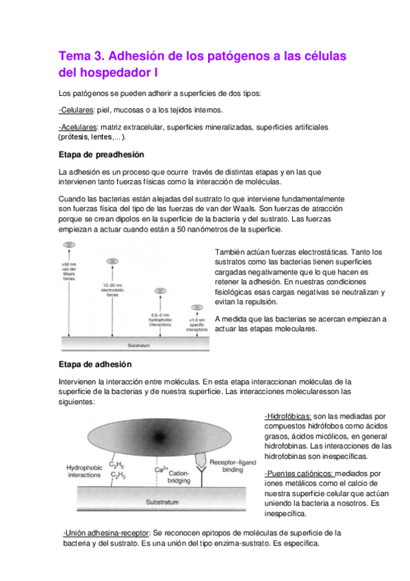 Miniatura del documento Tema 3. Adhesión de los patógenos a las células del hospedador I.pdf