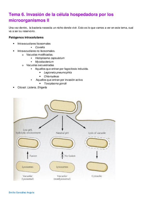 Miniatura del documento Tema 6. Invasión de la célula hospedadora por los microorganismos II.pdf