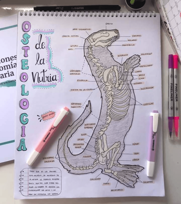 Miniatura del documento FBIMG1618012847422.jpg