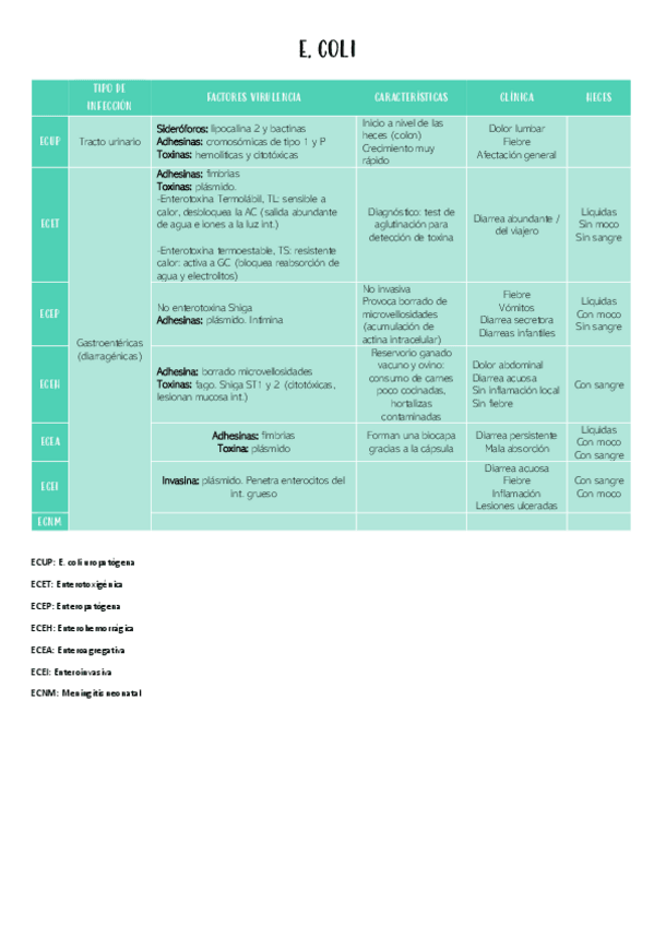 Miniatura del documento E.pdf