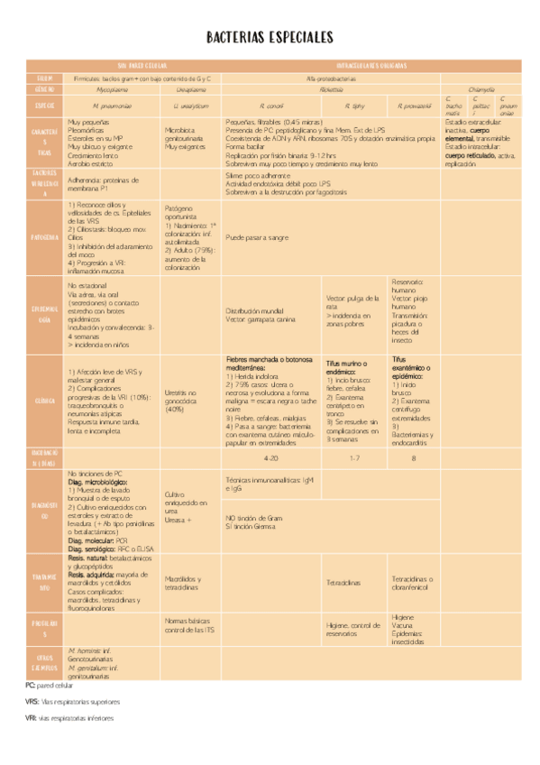 Miniatura del documento BACTERIAS-ESPECIALES.pdf