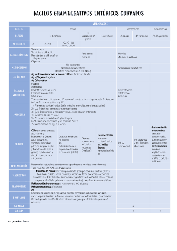 Miniatura del documento BACILOS-GRAMNEGATVISO-ENTERICOS-CURVADOS1.pdf