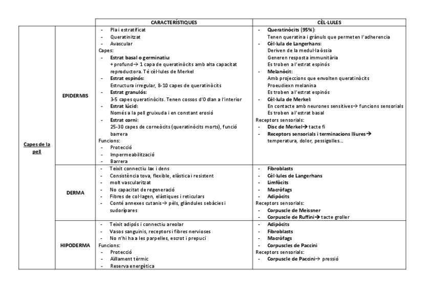 Miniatura del documento CAPES-DE-LA-PELL.pdf