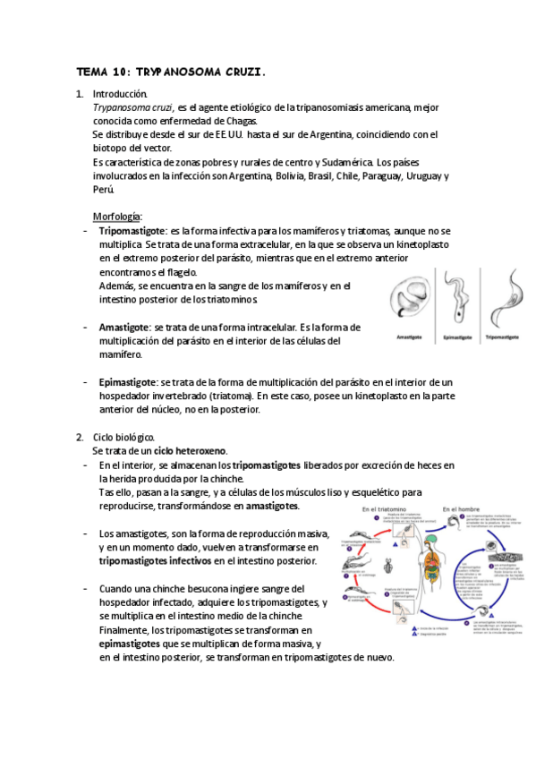 Miniatura del documento TEMA-10.pdf