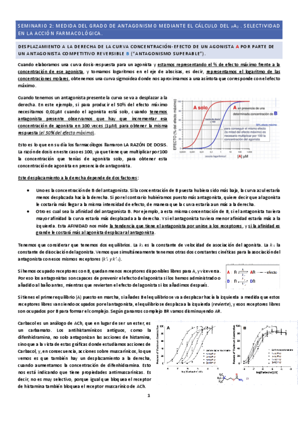 Miniatura del documento Seminario-2.pdf
