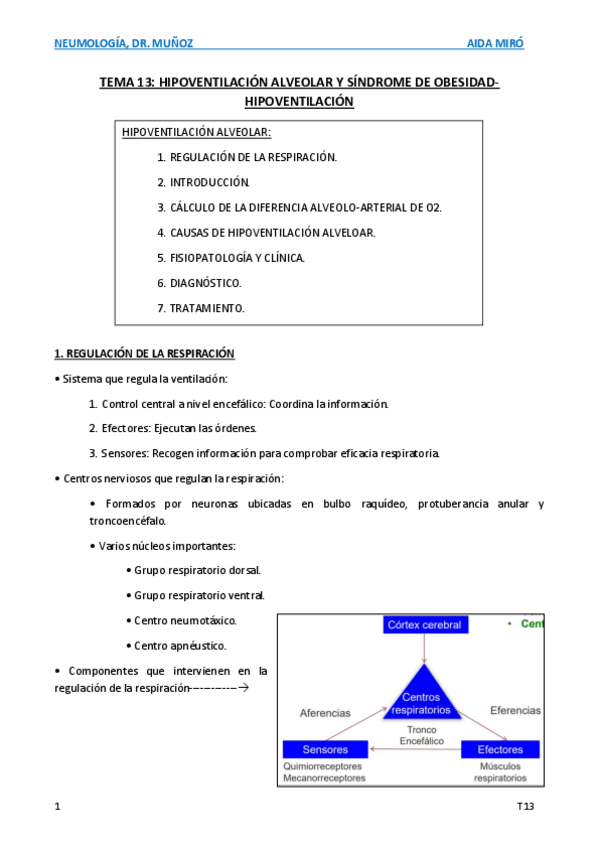 Miniatura del documento T13-Hipoventilacion-y-SOH.pdf