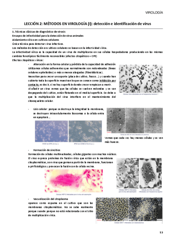 Miniatura del documento TEMA-2-PRÁCTICAS.pdf