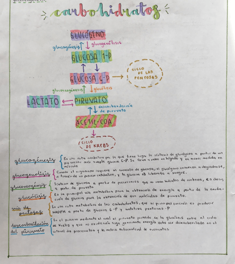 Miniatura del documento Carbohidratos.pdf