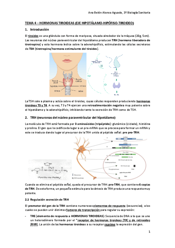 Miniatura del documento TEMA-4-HORMONAS-TIROIDEAS-EJE-HIPOTALAMO-HIPOFISO-TIROIDEO.pdf