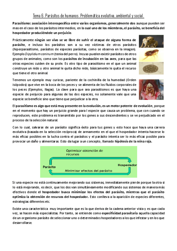 Miniatura del documento Tema-6.pdf