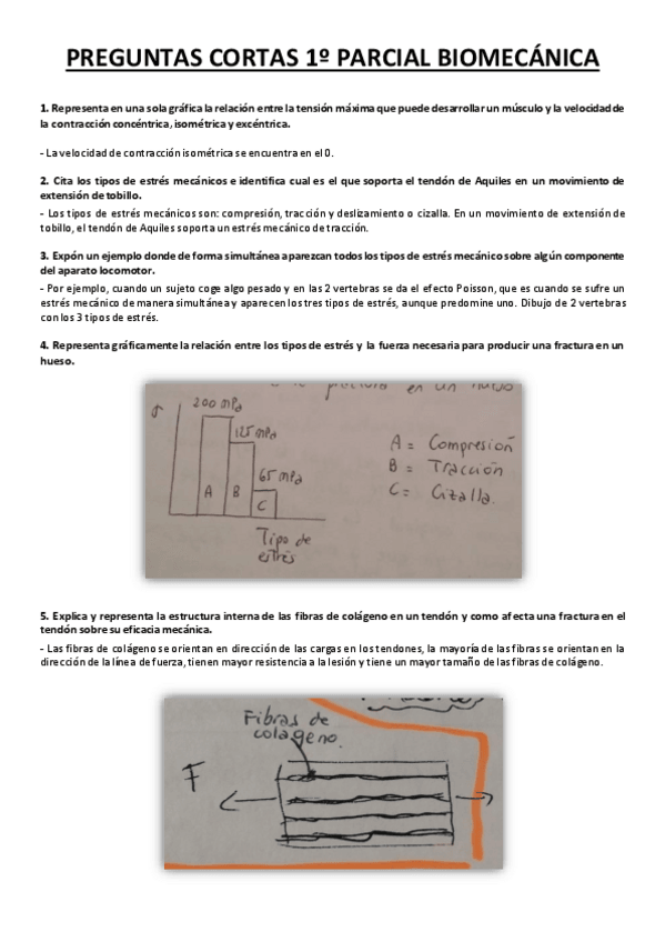 Miniatura del documento PREGUNTAS-CORTAS-BIOMECANICA.pdf