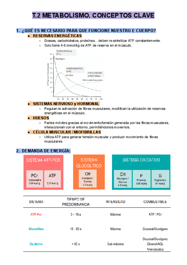 Miniatura del documento T.2 METABOLISMO