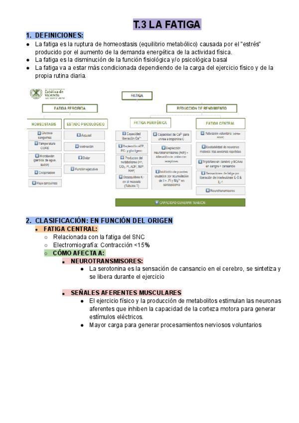 Miniatura del documento T.3 LA FATIGA