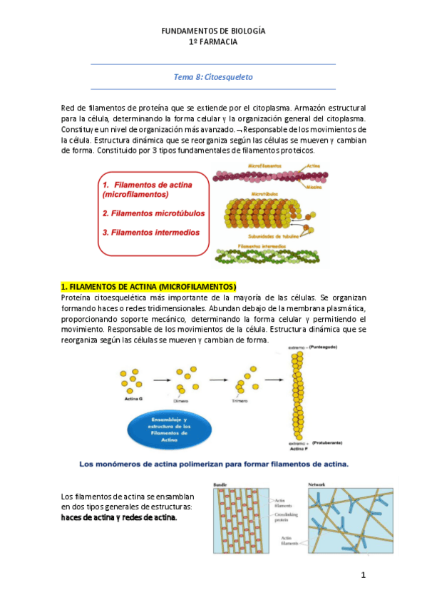 Miniatura del documento Tema-8.pdf