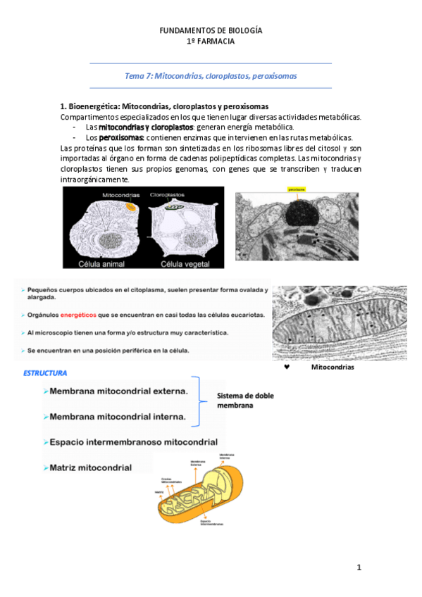 Miniatura del documento Tema-7.pdf