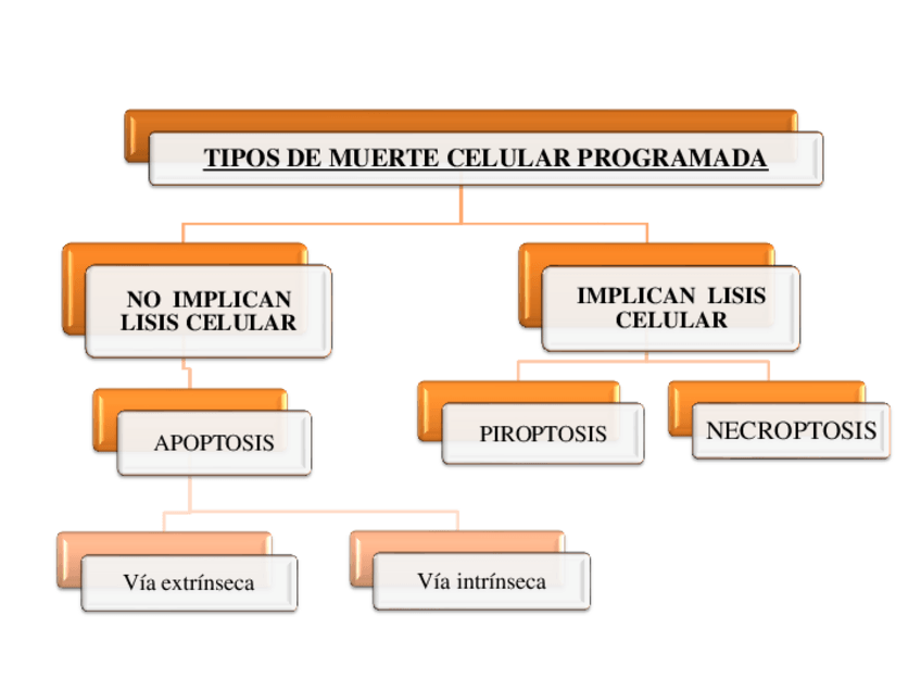 Miniatura del documento wuolah.pdf